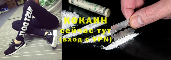 крисы Белоозёрский