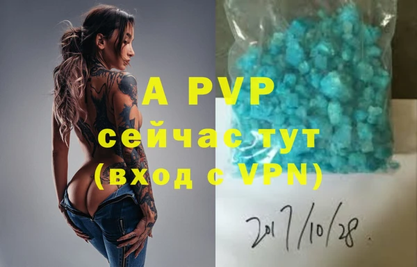 стафф Баксан