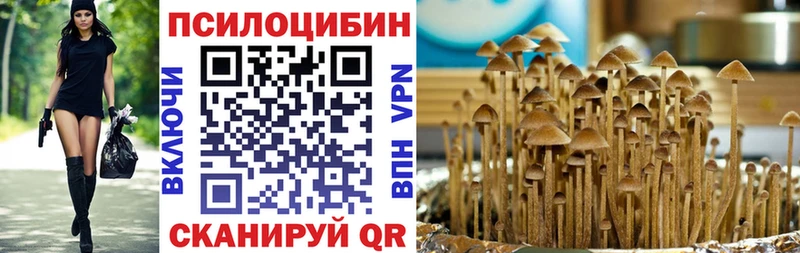 маркетплейс официальный сайт  Кизел  Псилоцибиновые грибы Cubensis 
